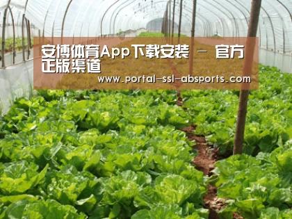 种植基地五