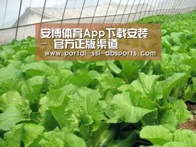 种植基地一