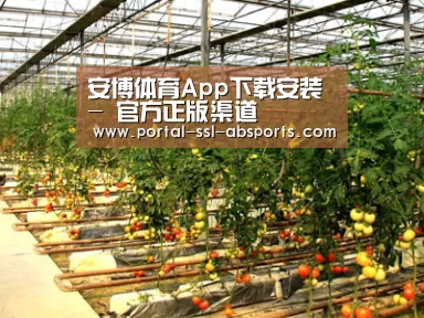 种植基地二(图1)